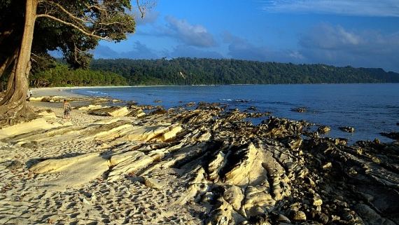 Havelock Island